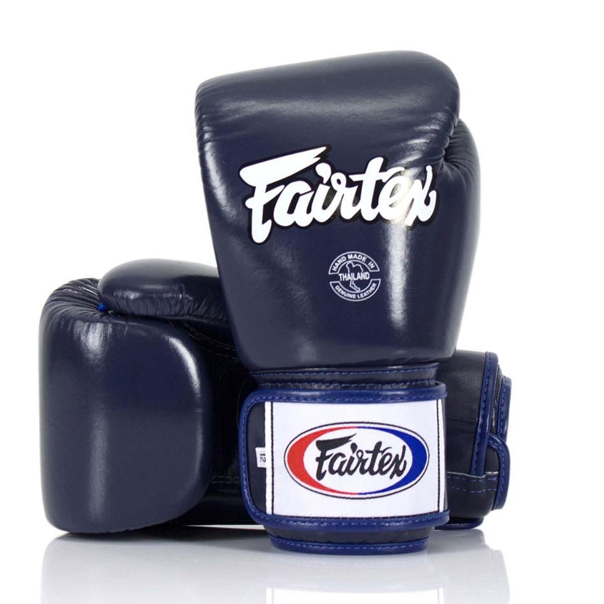 FAIRTEX BGV1 BOXING GLOVES BLUE